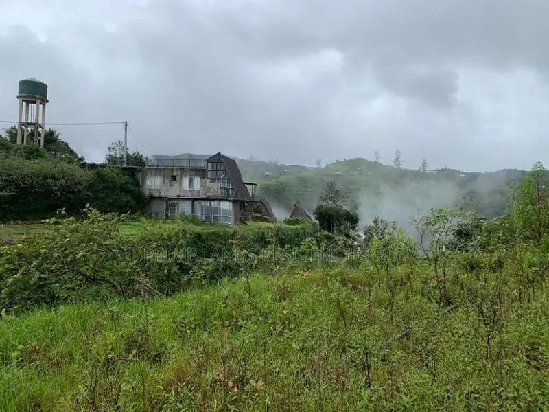 Lands for Sale in Ambewela