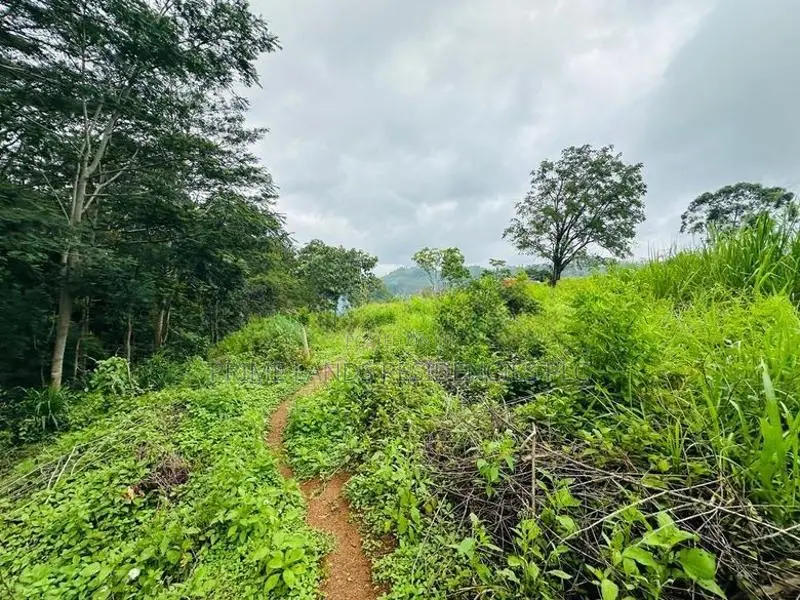 Lands for Sale in Pussellawa