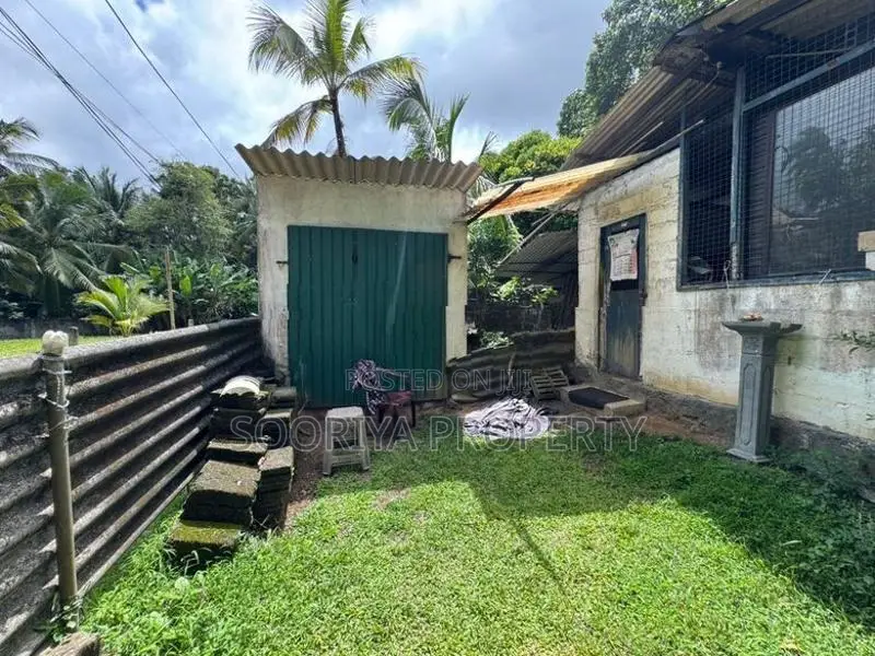 100 M to Colombo Road Land for Sale Piliyandala