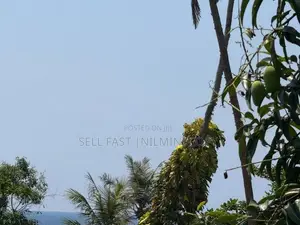 Hotel For Sale - Mirissa
