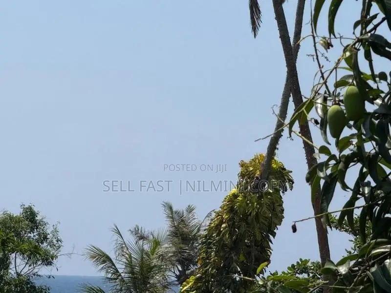 Hotel For Sale - Mirissa