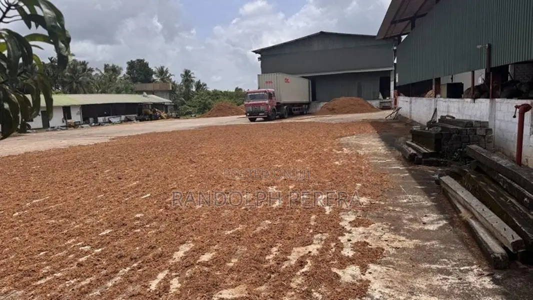 Fibre Coco Peat Factory for Sale in Kuliyapitiya