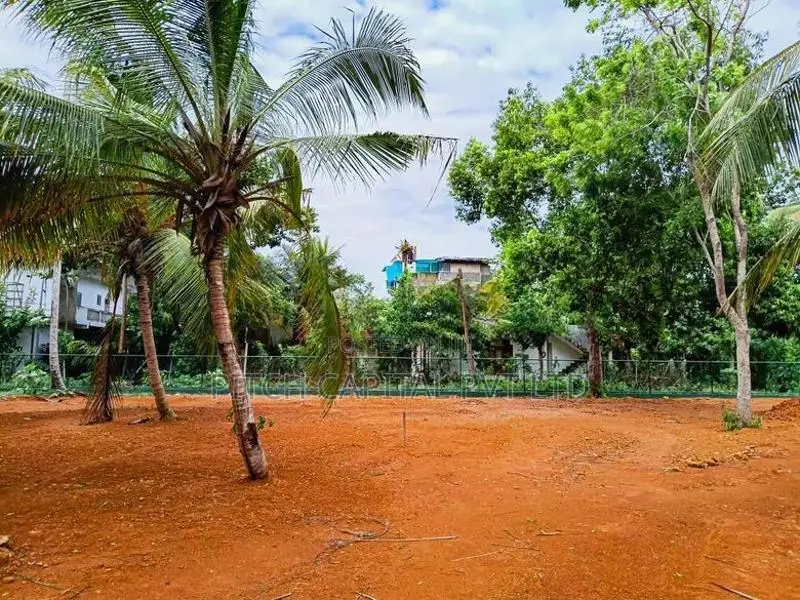 Waligama Midigama Beach Side Land for Sale