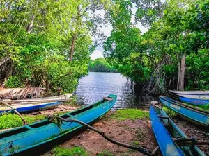 Koggala Lake View Land for Sale