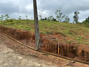 ගාල්ල - පින්නදූව නගරයෙන්