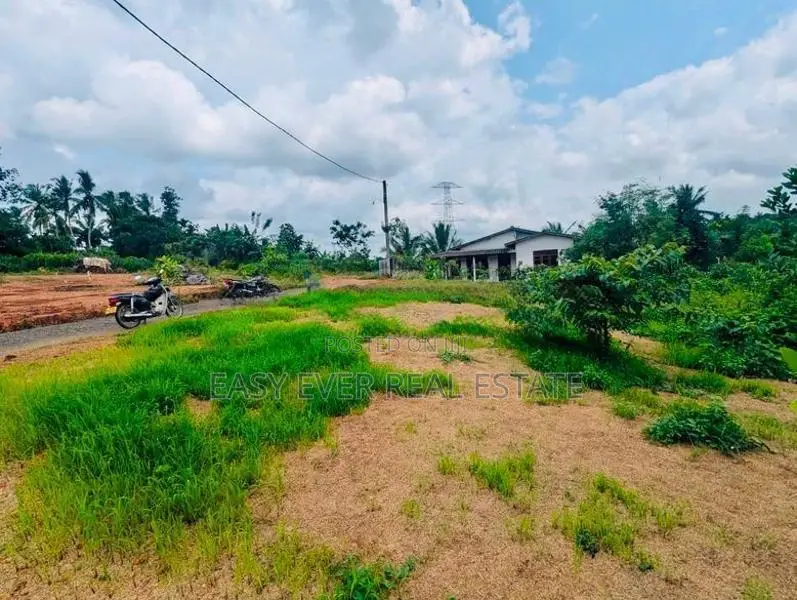 කිරිඳිවැල හංවැල්ල ප්‍රධාන පාරට ඇවිද යන දුරින් ඉඩමක් HL 15196