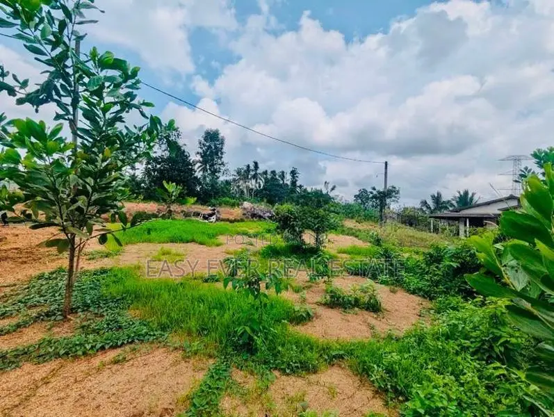 කිරිඳිවැල හංවැල්ල ප්‍රධාන පාරට ඇවිද යන දුරින් ඉඩමක් HL 15196