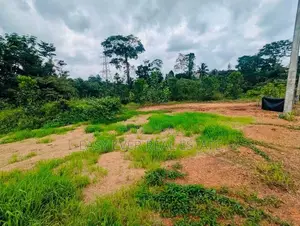 කිරිඳිවැල හංවැල්ල ප්‍රධාන පාරට ඇවිද යන දුරින් ඉඩමක් HL 15196