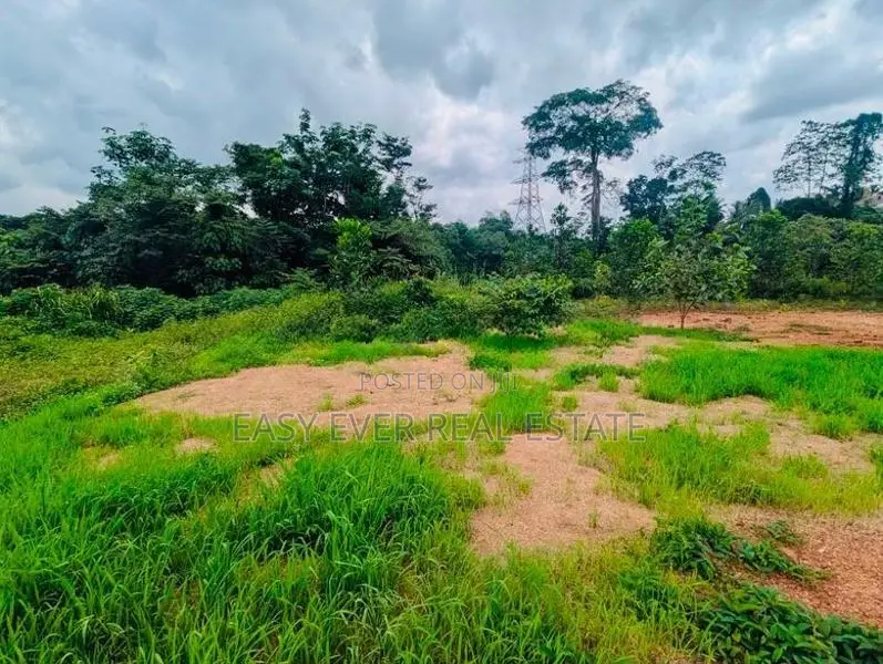 කිරිඳිවැල හංවැල්ල ප්‍රධාන පාරට ඇවිද යන දුරින් ඉඩමක් HL 15196