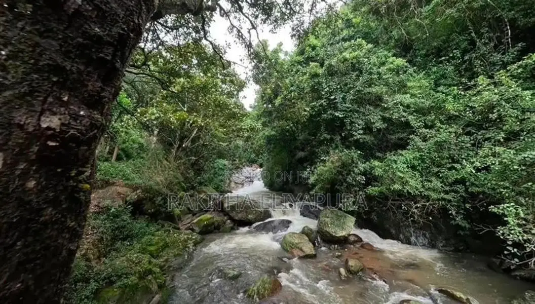 Exceptional 2-Acre Development Property – Hakgala, Nuwara Eliya