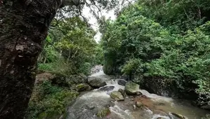 Exceptional 2-Acre Development Property – Hakgala, Nuwara Eliya