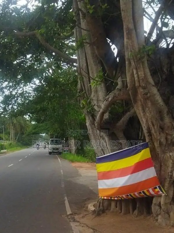 ප්‍රධාන පාරට මුහුණලා වාණිජ දේපළක් / HS 15210