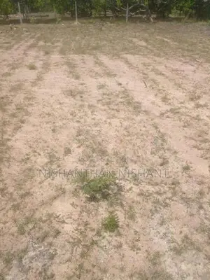 Land for Sale மட்டக்களப்பு சொறுவாமுனை