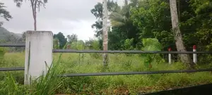 Land for Sale in Kurunegala