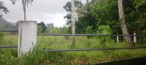 Land for Sale in Kurunegala