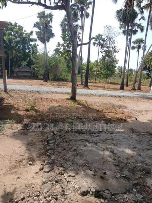 Land for Sale Jaffna