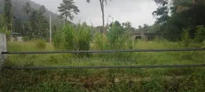 Land for Sale in Kurunegala