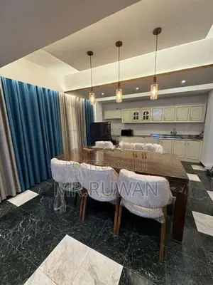 Duplex Apartment for rent in colombo 3