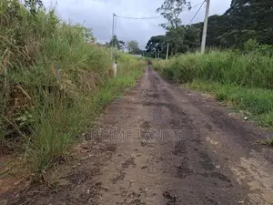 Mountain View Land for sale in Pussellawa