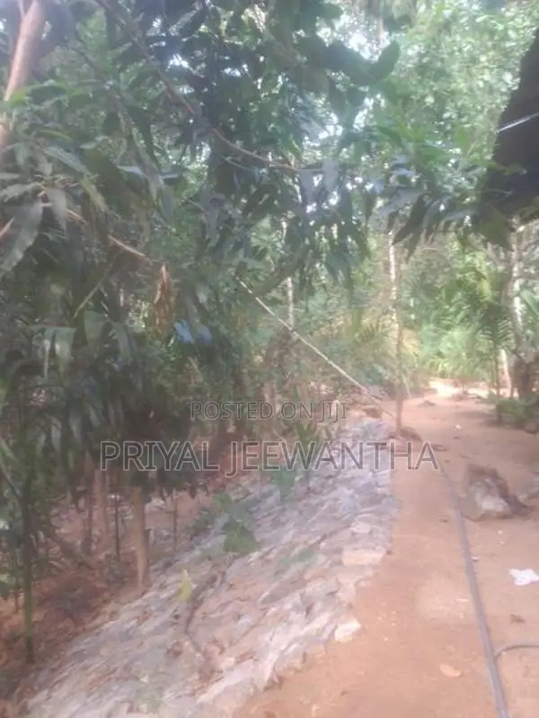 House With Land For Sale In Monaragala