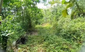 Land for Sale in Awissawella / Kk 15913
