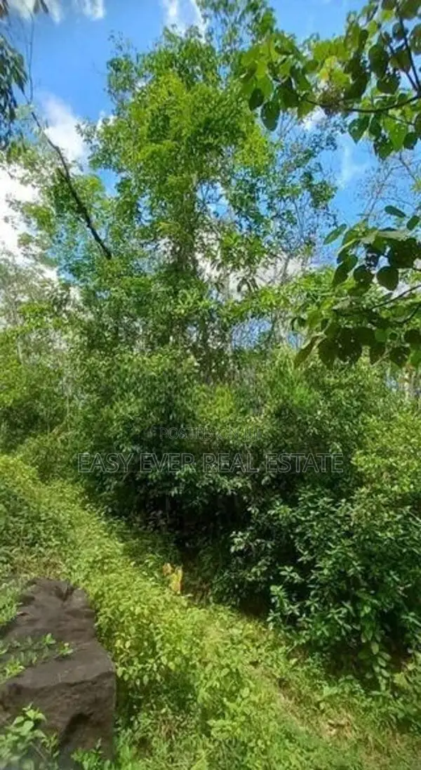 Land for Sale in Awissawella / Kk 15913