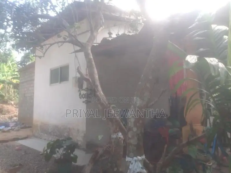 House With Land For Sale In Monaragala