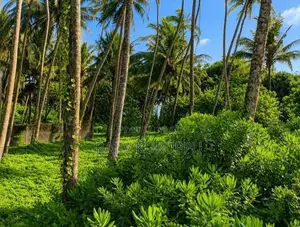Beachfront Land in Payagala