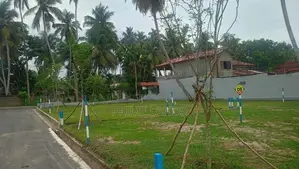 මීගමුව කුරණ කොළඹ පාරට ඇවිදින දුරින් ඉඩම