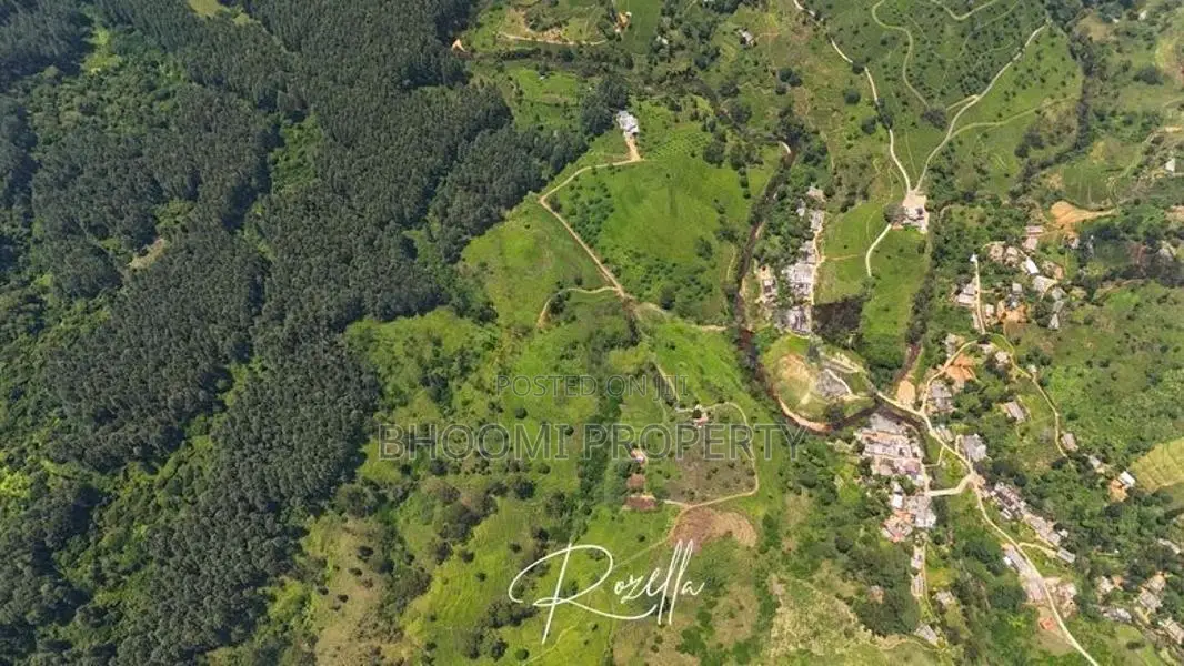 Natural Houses for Sale in Rozella