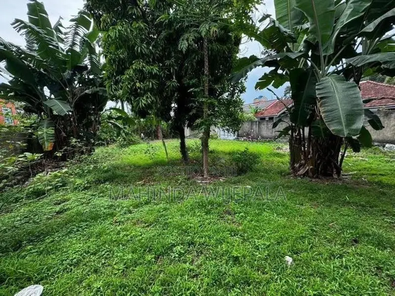 Land For Sale In Thalawathugoda,Kumaragewatta Road