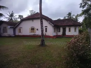 Commercial Land in Veyangoda Town Plot 01