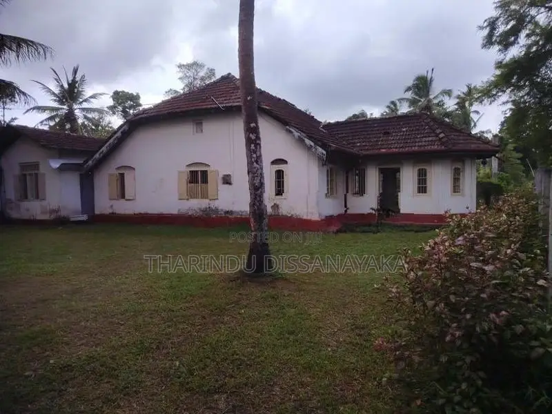Commercial Land in Veyangoda Town Plot 01