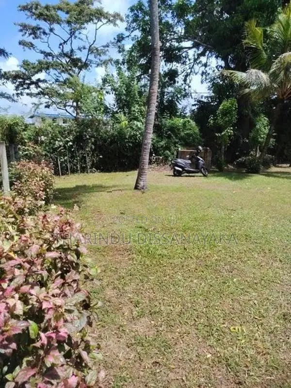 Commercial Land in Veyangoda Town Plot 01