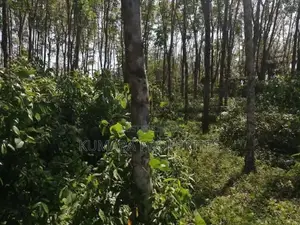 Land for Sale – Bandaragama