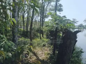 Land for Sale – Bandaragama