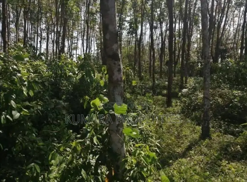 Land for Sale – Bandaragama