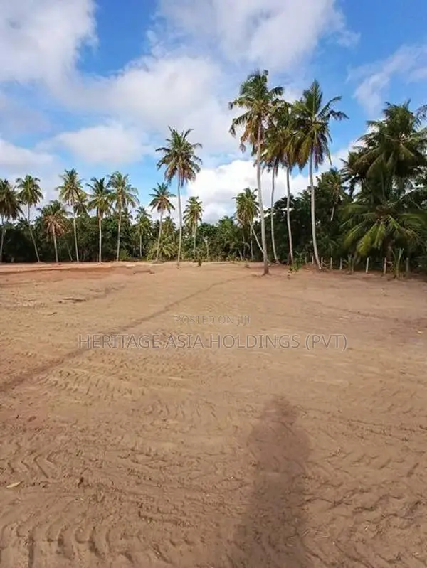Land for Sale in Kakkapalliya
