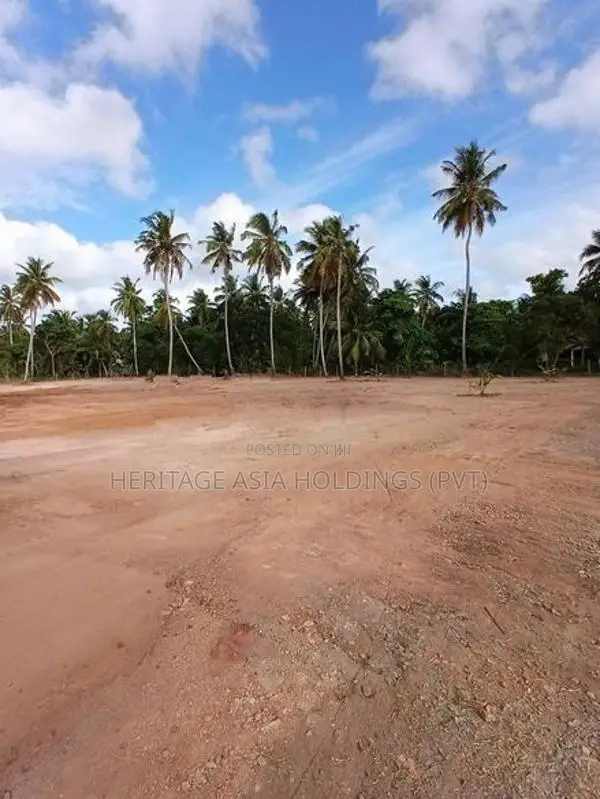 Land for Sale in Kakkapalliya