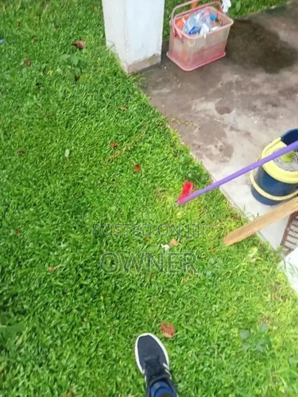 ජා එල වටිනා ඉඩමක් විකිණීමට