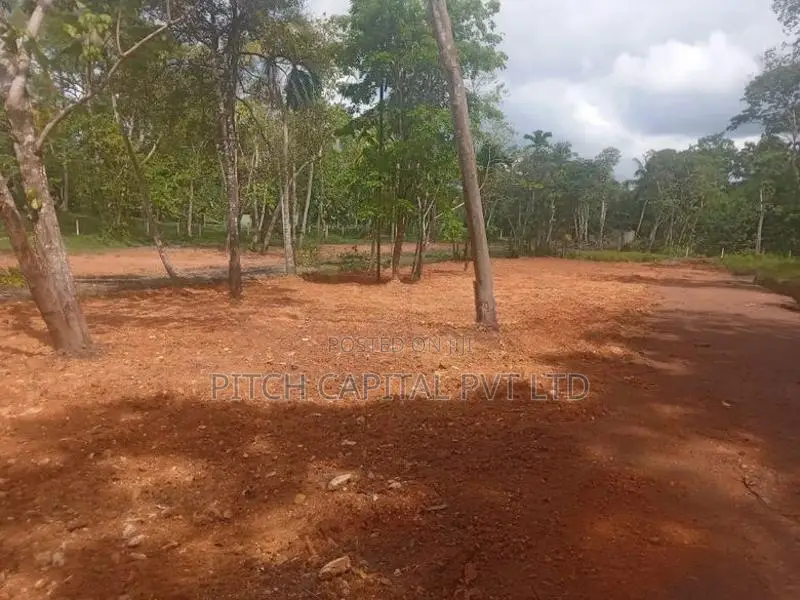 Valuable Land for Sale in Koggala