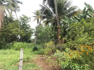 2 Land blocks for sale AgA office road kirillawala kadawata