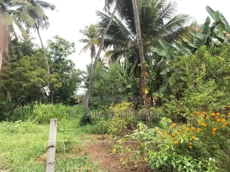 2 Land blocks for sale AgA office road kirillawala kadawata