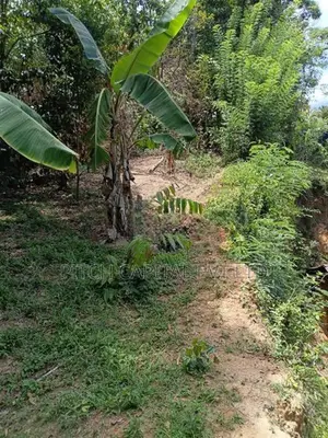 Valuable Land for Sale in Hiriketiya