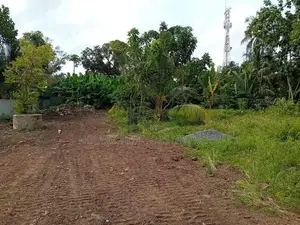 Commercial Land for Rent – Ja-Ela, Weligampitiya