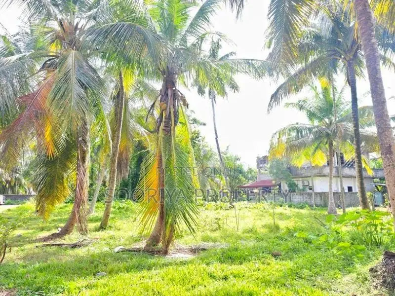 Residential Land for Sale in Negombo Road, Ja Ela, Waligampitiya