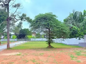 Land for Sale Boralesgamuwa
