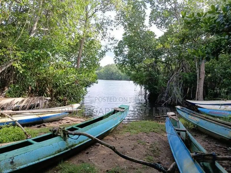 Valuable Land for Sale in Koggala