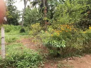 2 Land blocks for sale AgA office road kirillawala kadawata