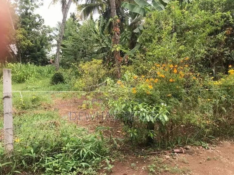 2 Land blocks for sale AgA office road kirillawala kadawata
